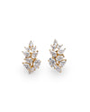 Golden Bloom Moissanite Earrings