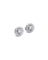 Halo Radiance Moissanite Stud Earrings